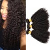 Brazilian Curly Human Hair Bundles Brazilian Curly Weave Sew In